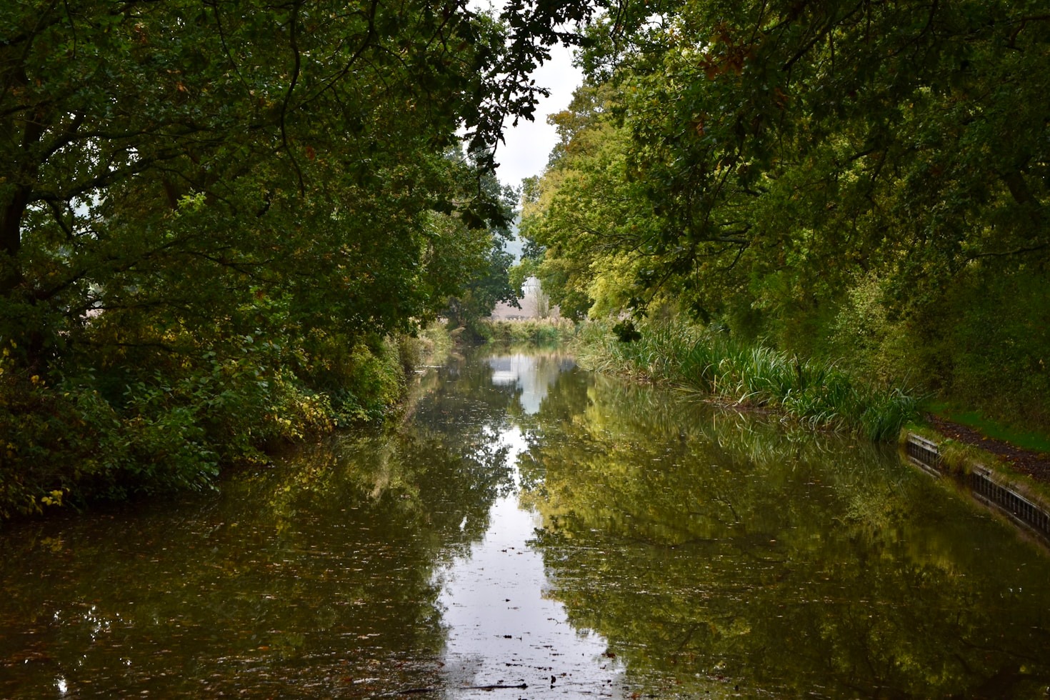 Exploring the Wildlife Around Prek Thnaot